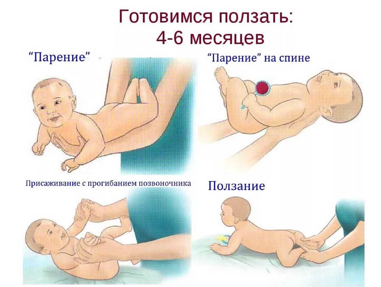 Почему девочек нельзя сажать до 6 месяцев? советы молодым мамам