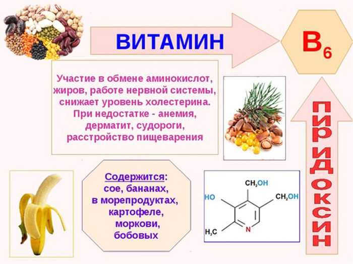 Витамины группы в: для чего необходимы и в каких продуктах содержатся