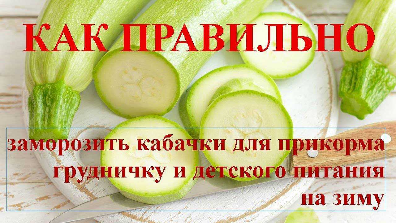 Как готовить кабачок для первого прикорма