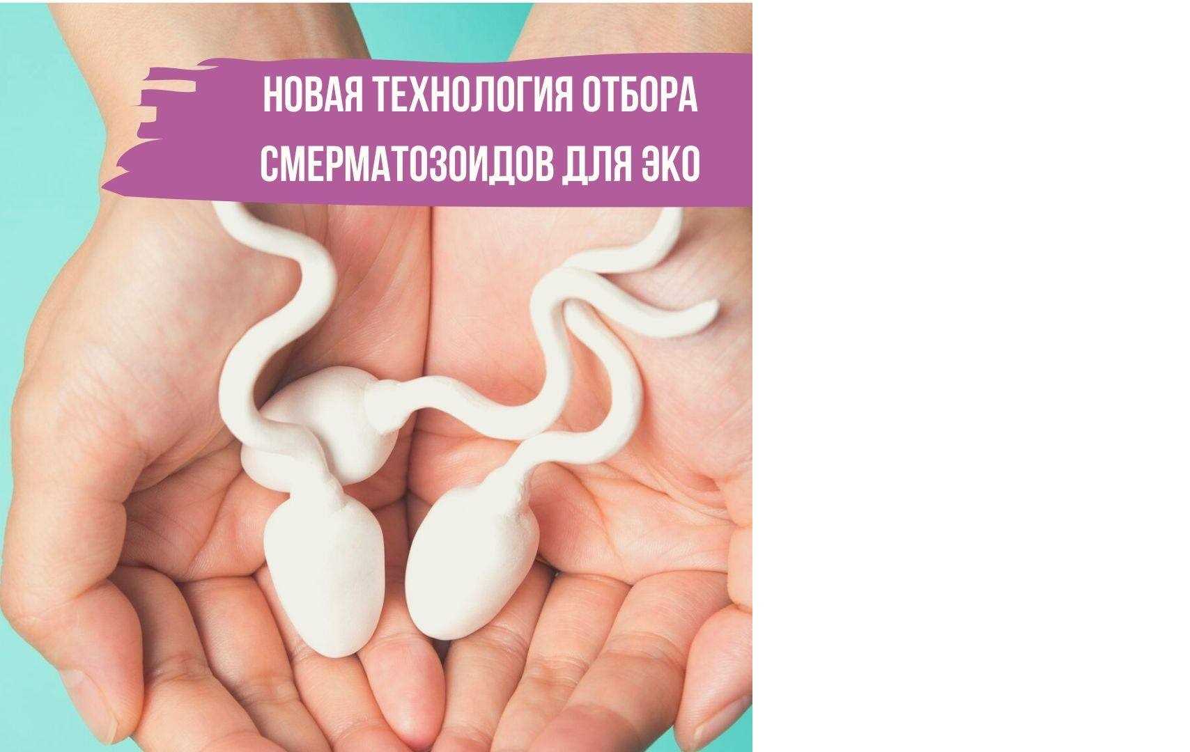 Биохимическая беременность