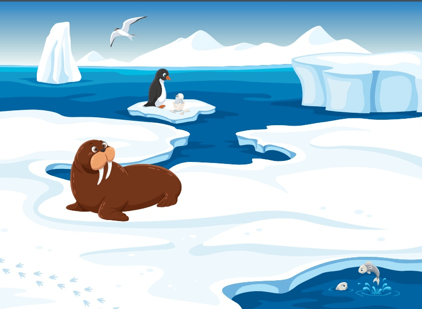 Путешествие на северный полюс или увлекательные занятия на тему «арктика» для детей