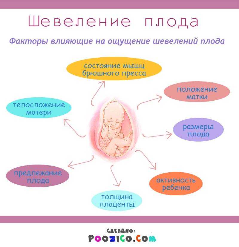 17 неделя беременности: что происходит на этой неделе?