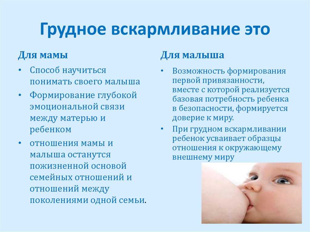 8 важных правил правильного кормления ребёнка смесью от врача-педиатра