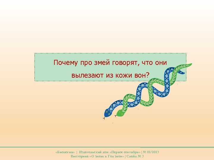 Змея загадка для детей. Загадка про змею для детей. Загадки про змей для детей. Загадки о змеях. Загадка змея для детей.