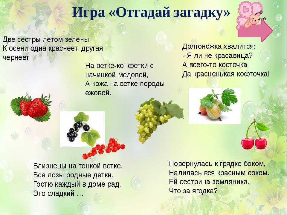 Рассказать ягодах. Загадки про фрукты и ягоды. Загадки про ягоды для дошкольников. Загадки про ягоды для детей. Загадки на тему ягоды.