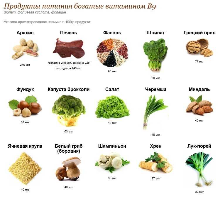 В каких продуктах содержится витамин b (таблица и список)