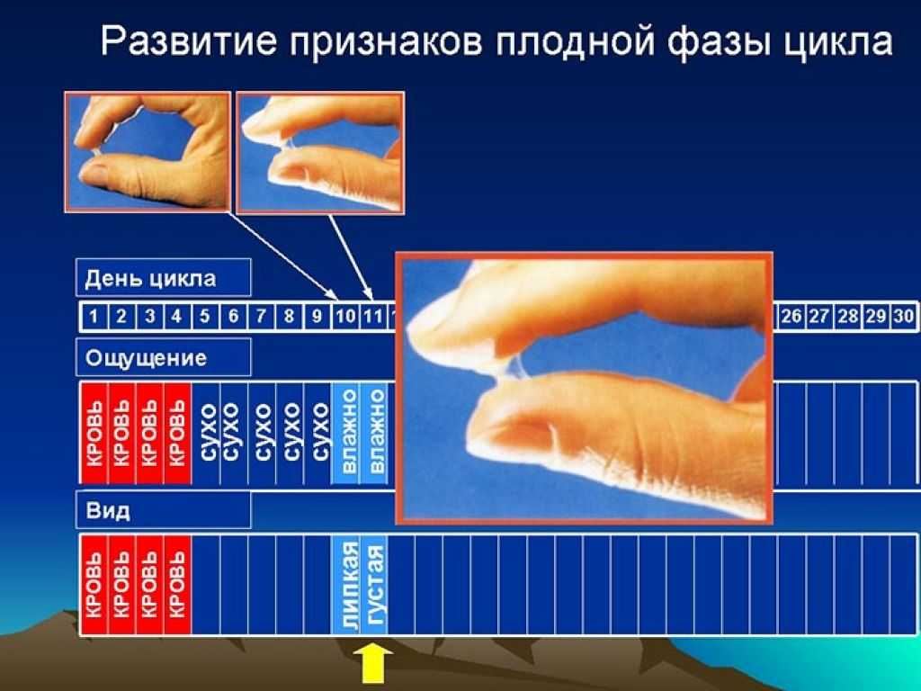 Субфебрилитет