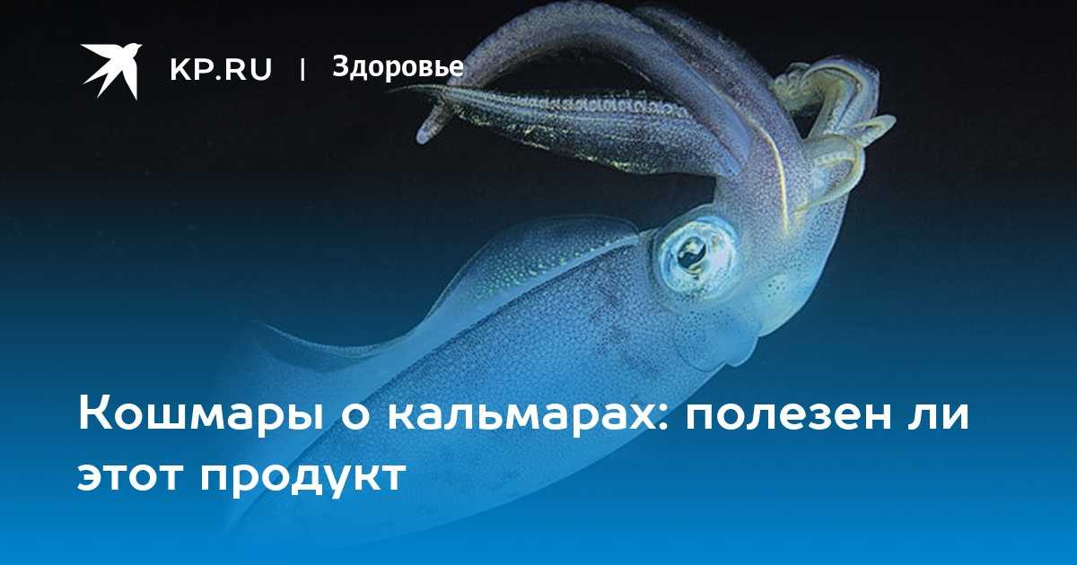 Кальмары: польза и вред для здоровья детей, женщин, мужчин