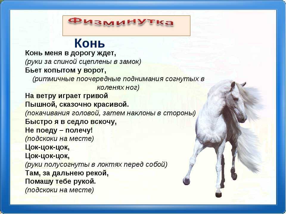 25 загадок про лошадей для малышей и детей постарше