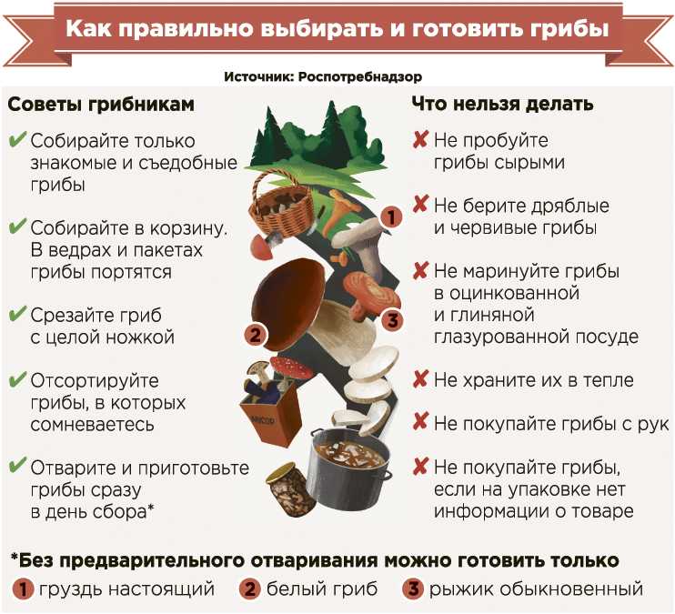 Первый прикорм – правила: как и когда вводить прикорм при грудном вскармливании - agulife.ru