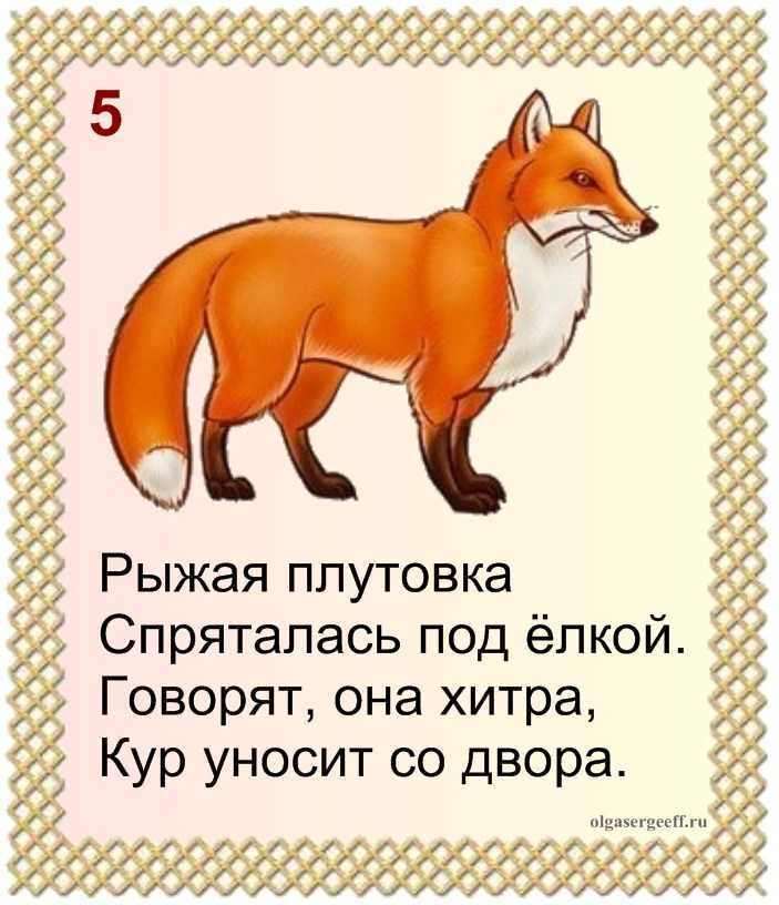 Загадки про животных на буквы а, б, в, г. загадки про животных