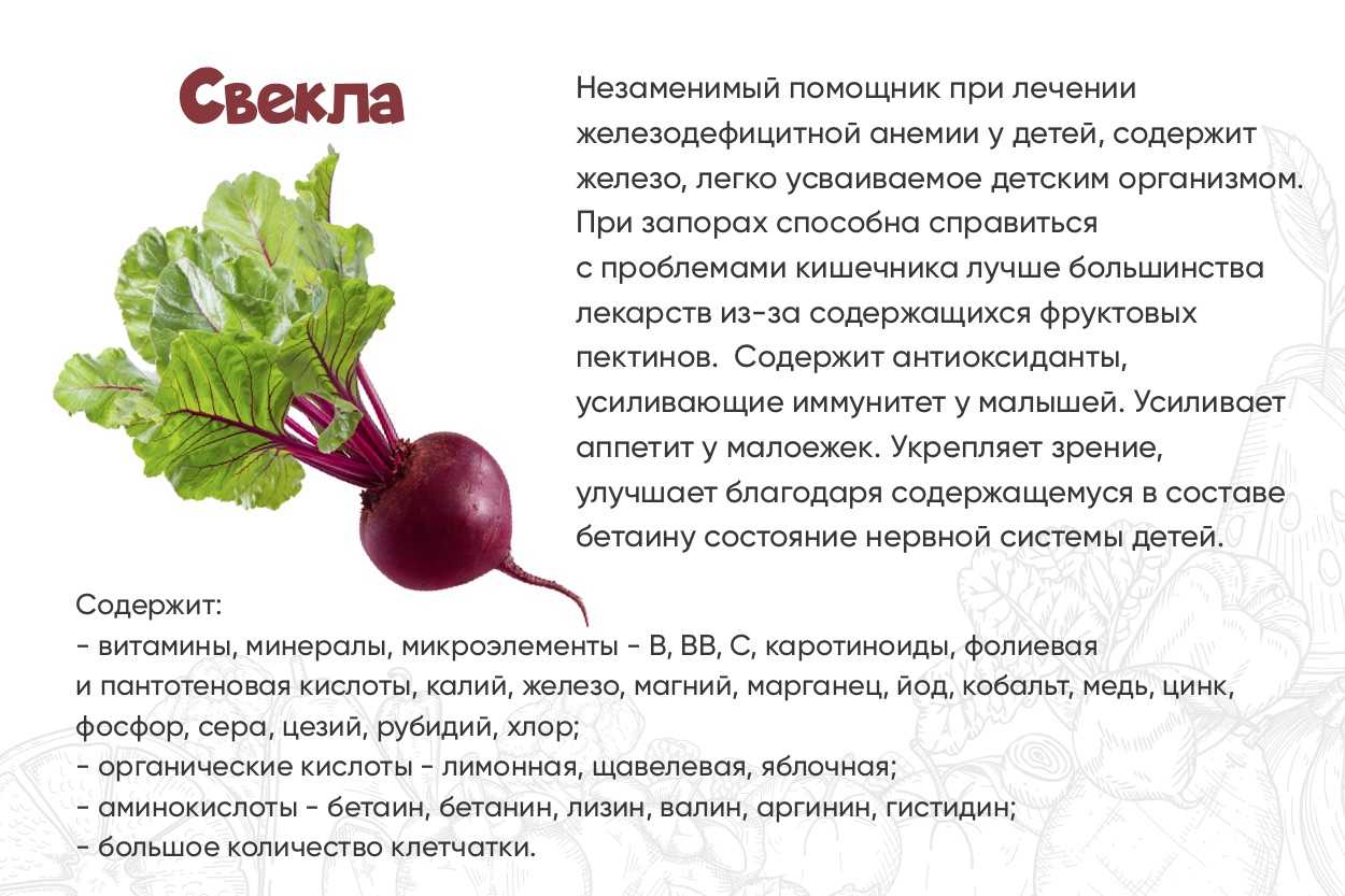Польза и вред свёклы для здоровья — 10 доказанных свойств для организма человека и противопоказания