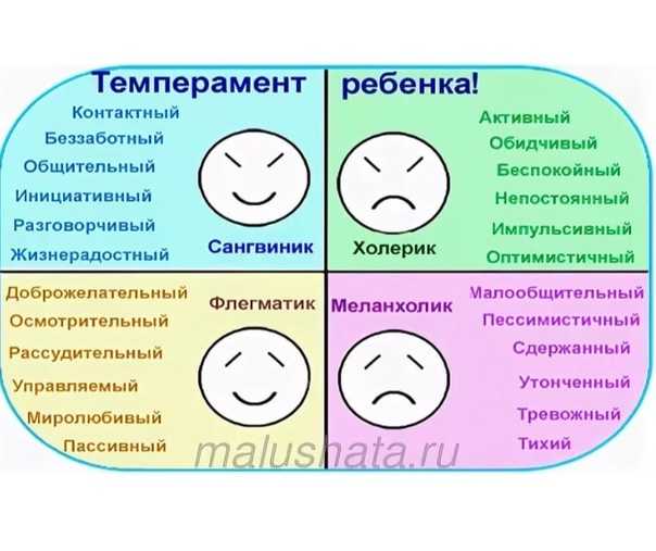 Определение темперамента презентация