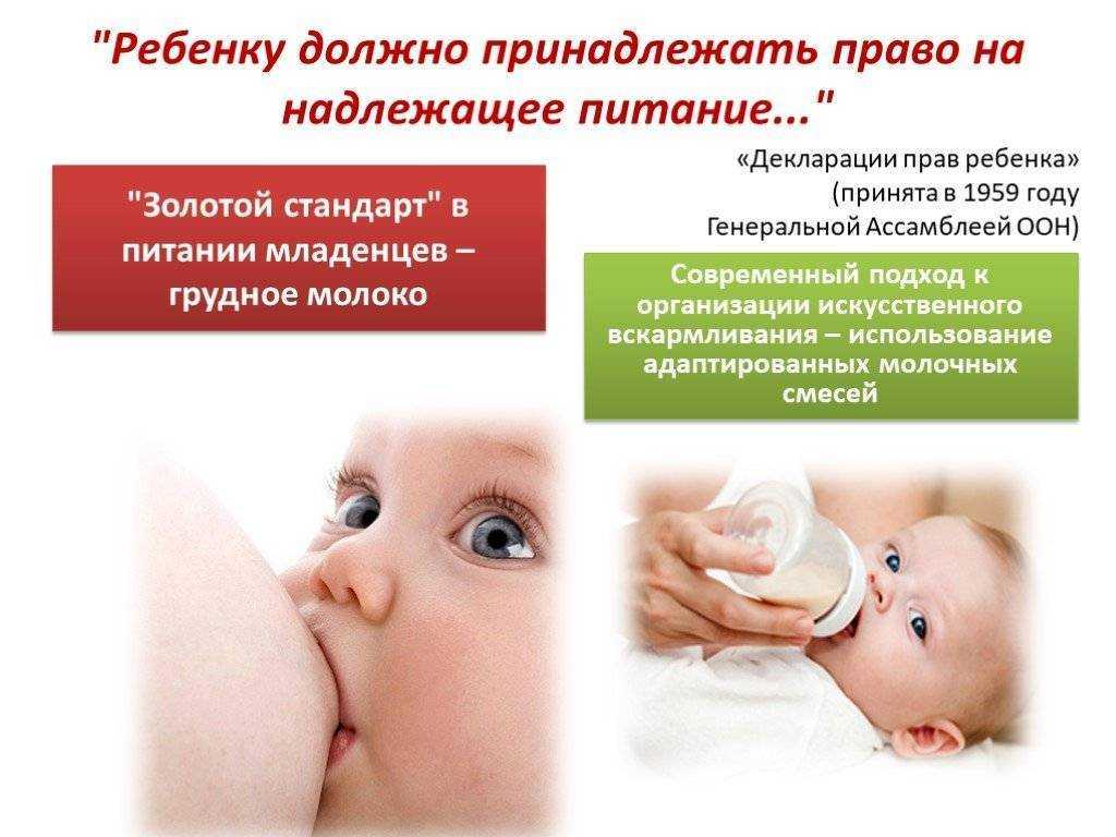 Мифы и правда о грудном молоке