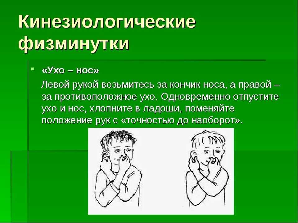 Кинезиологические упражнения для детей дошкольного возраста с картинками