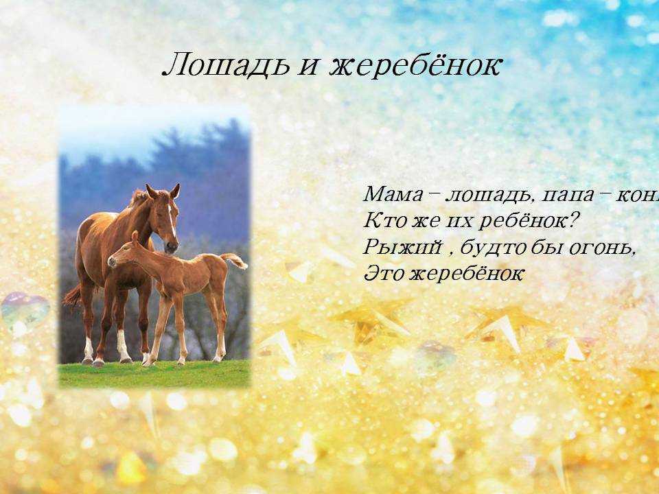Загадки про верёвку с ответами для детей разгадывать онлайн