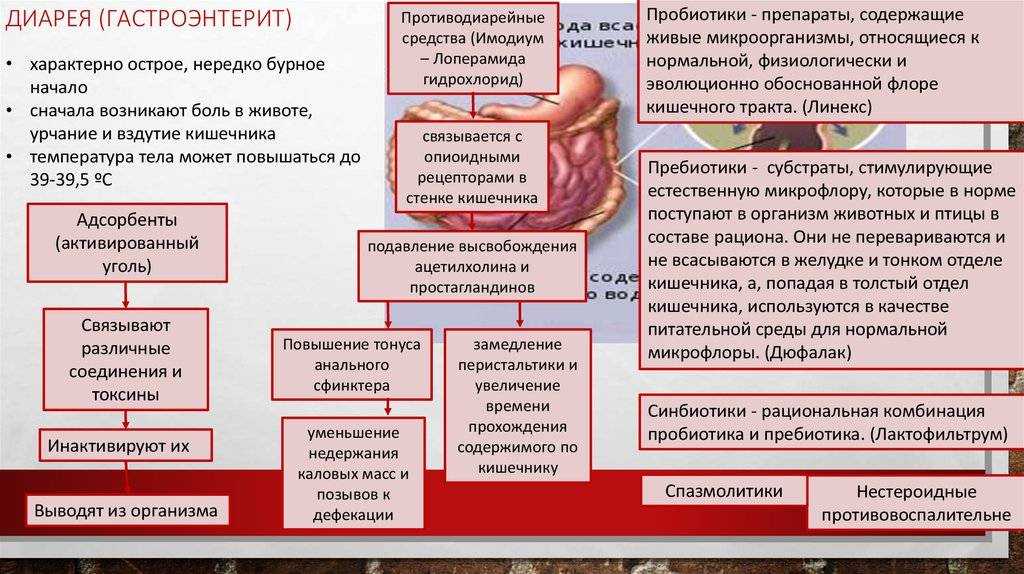 Дуоденит у детей: сведения о болезни, течение, причины, симптомы и лечение | см-клиника в спб