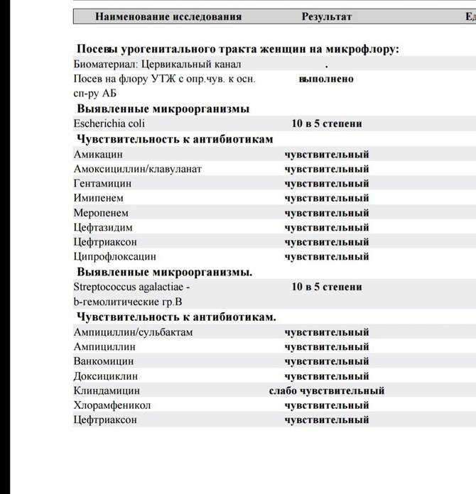 Что такое бактериальная инфекция у женщин