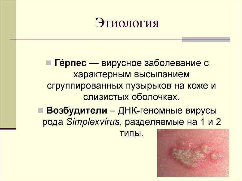 Образования в области наружных половых органов!