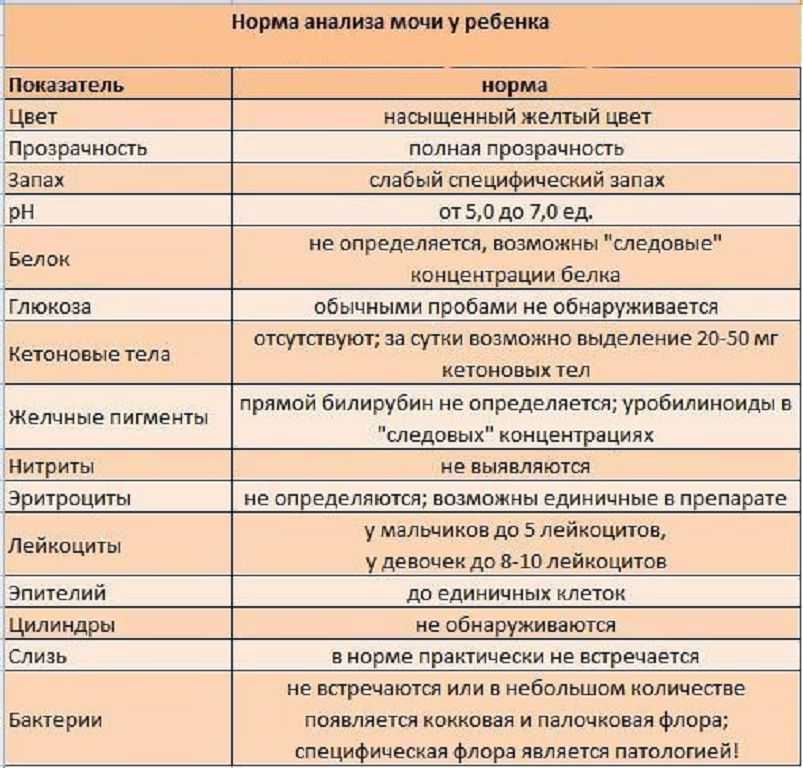 Слизь в моче у ребенка: что это значит и на какие заболевания указывает | elesto.ru