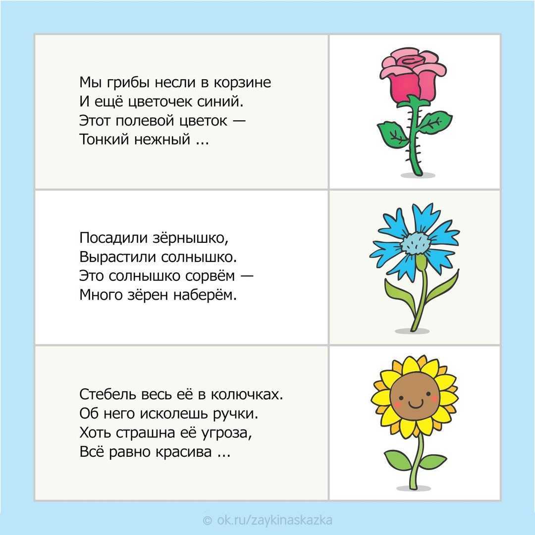 Конкурс "цветочные загадки"