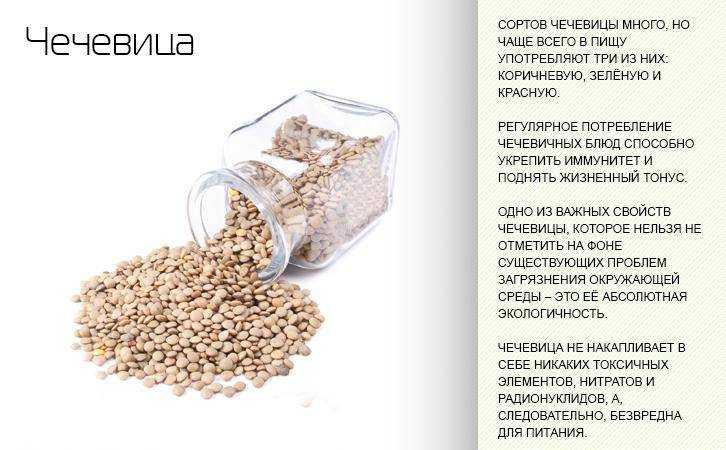Чечевица при грудном вскармливании: можно ли кормящей маме, особенности употребления, рецепты простых и полезных блюд