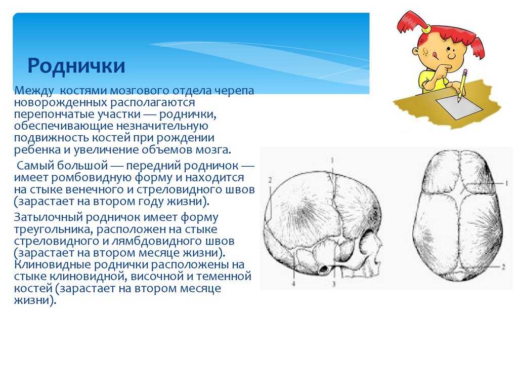 Причины и последствия, если у грудничка впал родничок, методы лечения и правила ухода за ребенком