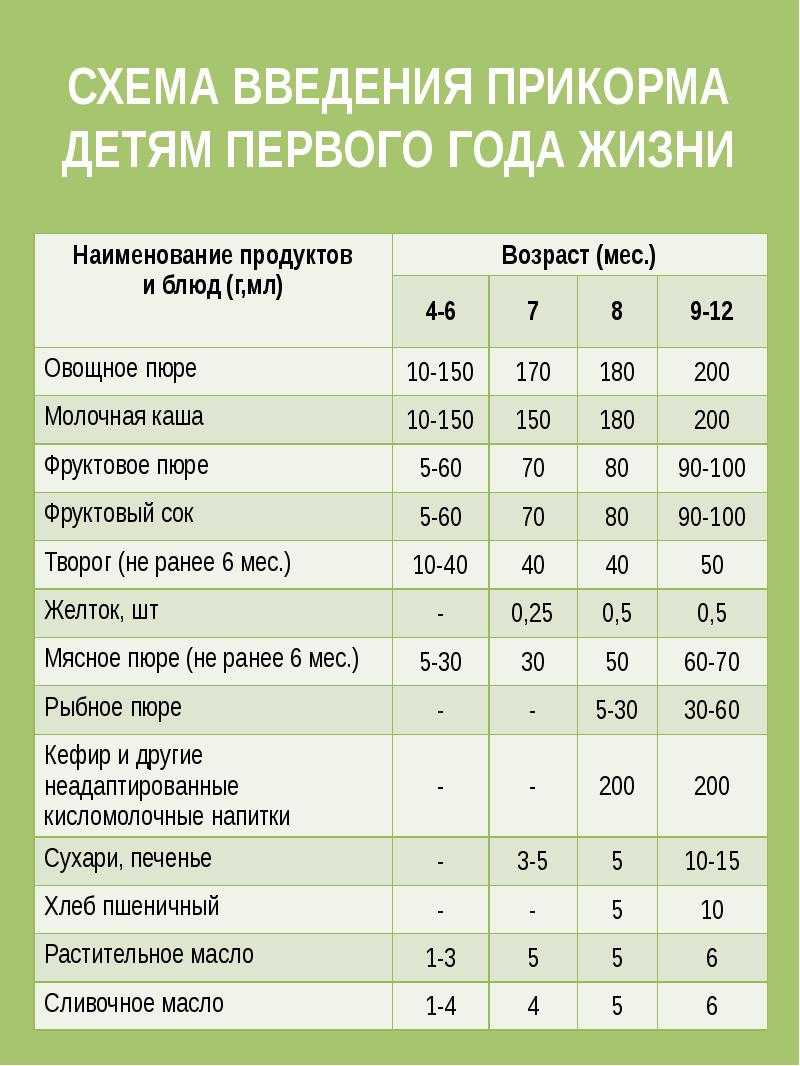 Как вводить прикорм схема