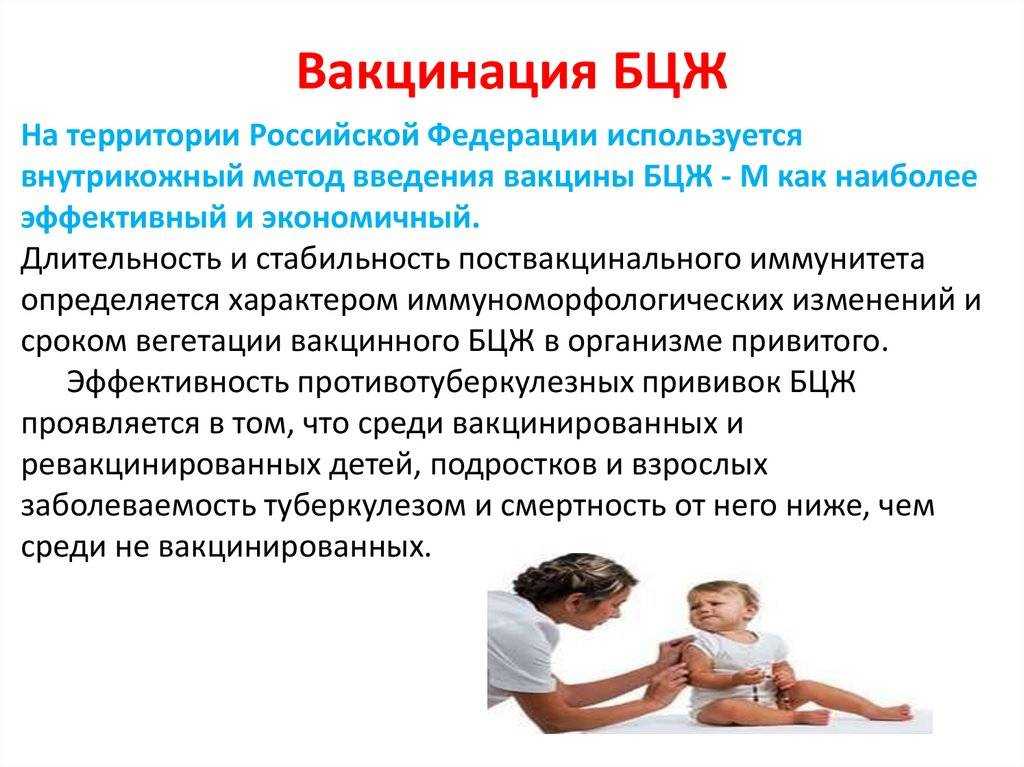 Вакцинация туберкулеза схема