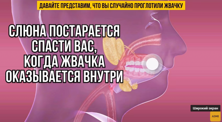 Случайно съел. Что будет если проглотить жвачку. Что делать если проглотил жвачку. Что Белат если проглатил жевачк. Что будет если проглотить жевательную резинку ребенку.