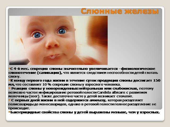 Повышенное слюноотделение у ребенка: способы лечения гиперсаливации