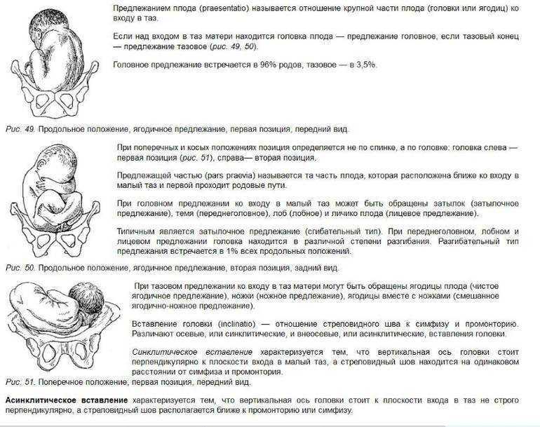 Головное предлежание плода: 1,2 позиция, продольное и низкое