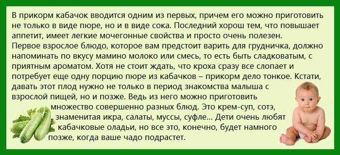 Как готовить кабачок для первого прикорма | уроки для мам