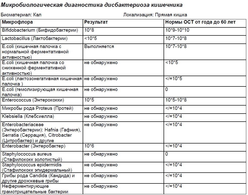 Бифидобактерии в кале