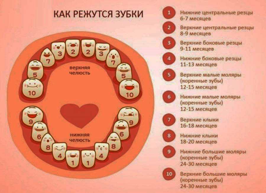 У малыша поднялась температура: как себя вести родителям | университетская клиника