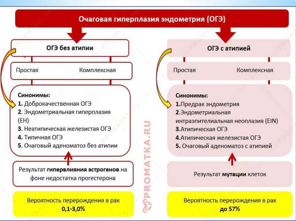 17 опк при гиперплазии эндометрия схема приема