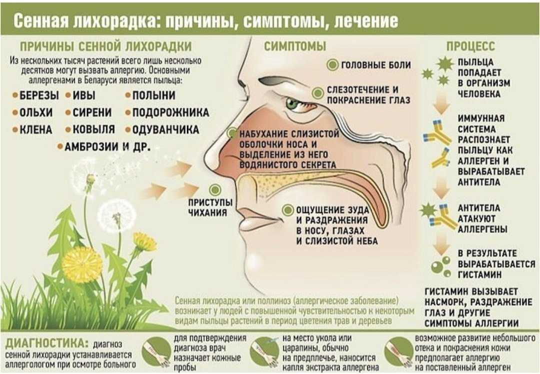 Аллергия: ликбез для аллергика. диагностика, симптомы, лечение | университетская клиника