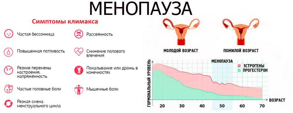 Ановуляторный цикл – отсутствие овуляции | университетская клиника