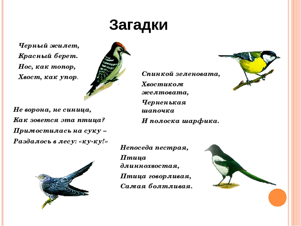 Великан и пеликан