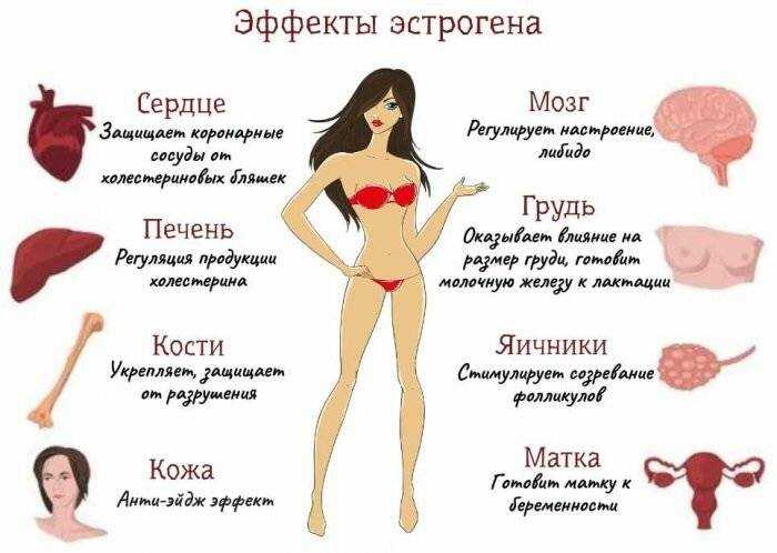 Гиперандрогения (переизбыток мужских гормонов в организме женщины)