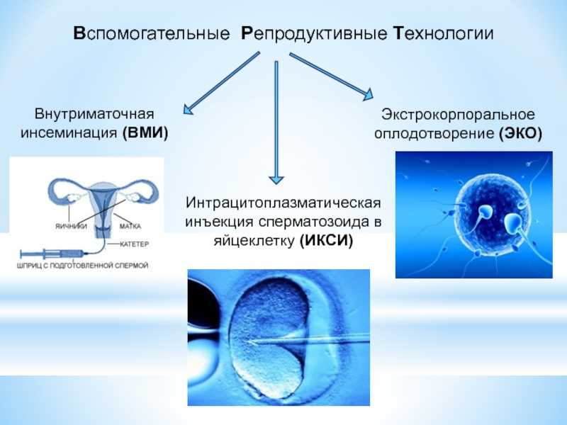 Что такое криопротокол эко【секрет успешного криопротокола】