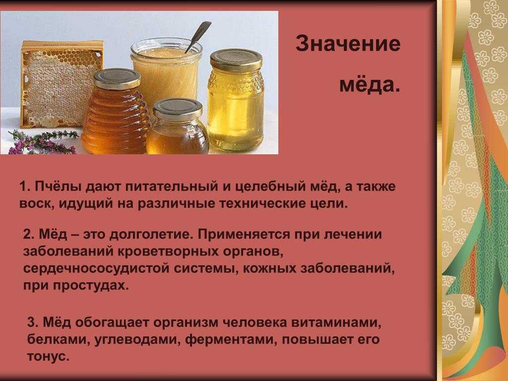 С какого возраста детям можно есть мед?