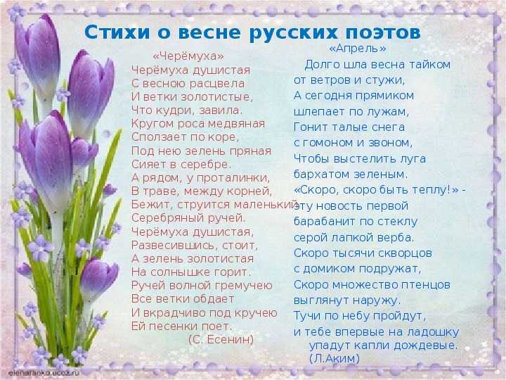 Лучшие стихи о родине