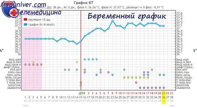 Базальная температура во время беременности
