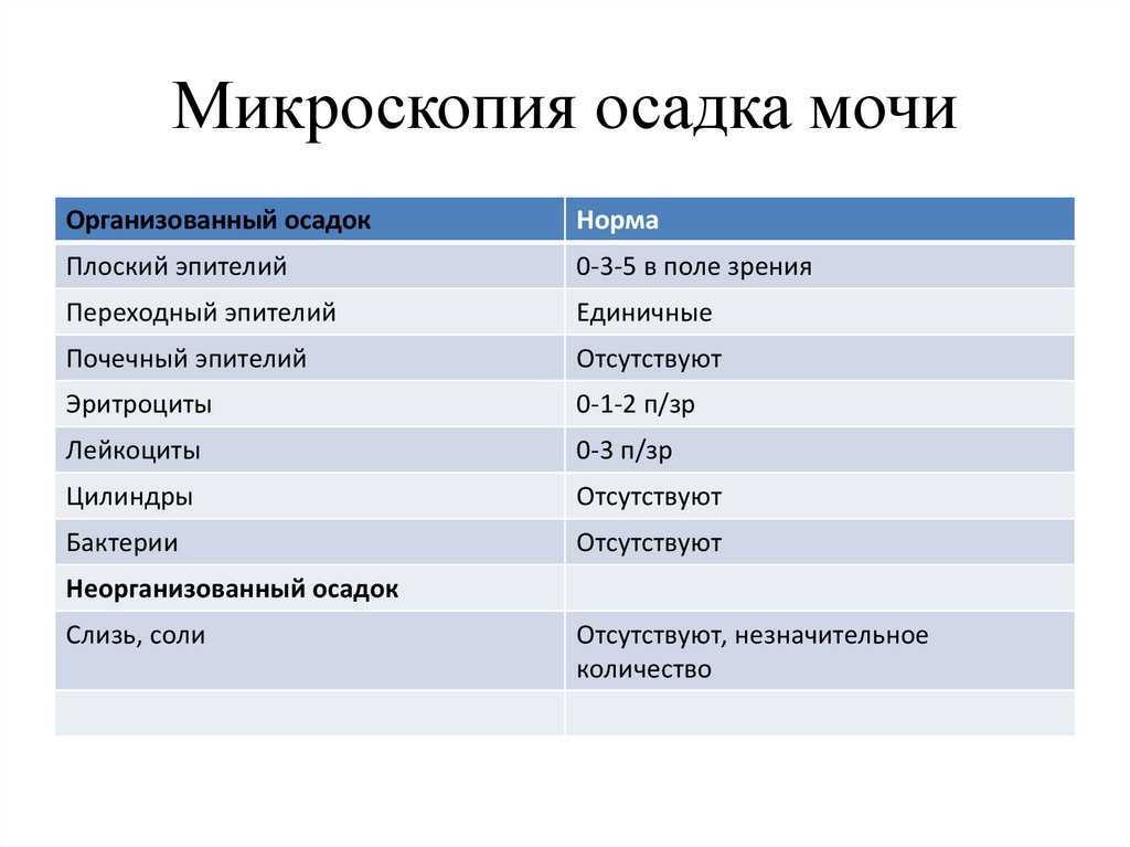 анализе мочи на стх-ii.