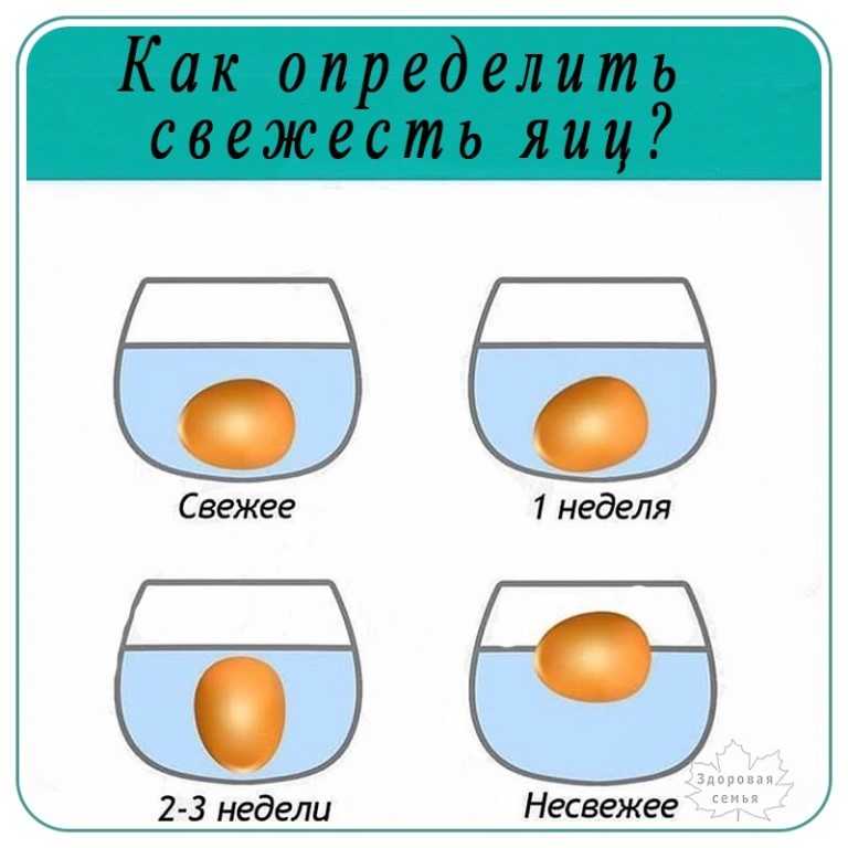 Как проверить яйца на свежесть – способы и видео, тухлое или нет?