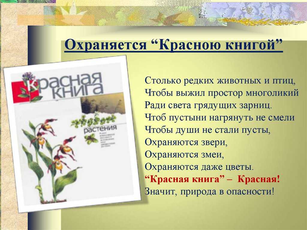 Загадки про животных красной книги с ответами: загадки для детей про животных из красной книги