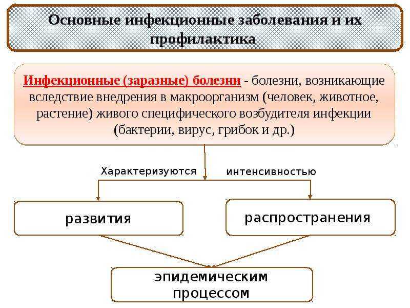 Фемофлор скрин, условный нормоценоз