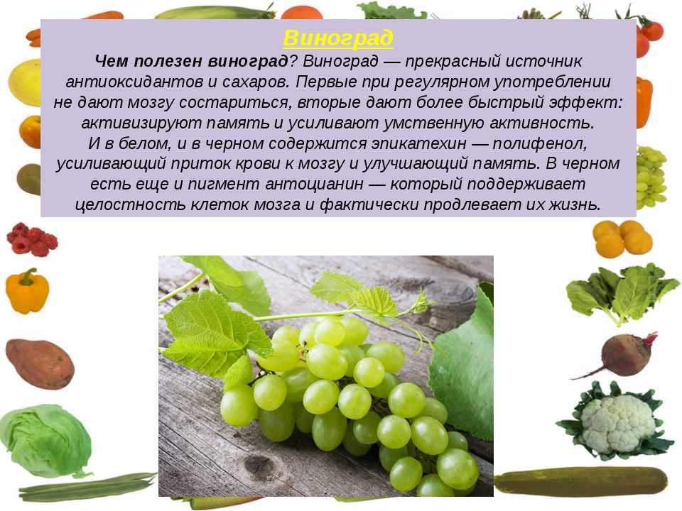Виноград ребенку: можно ли давать, и с какого возраста?