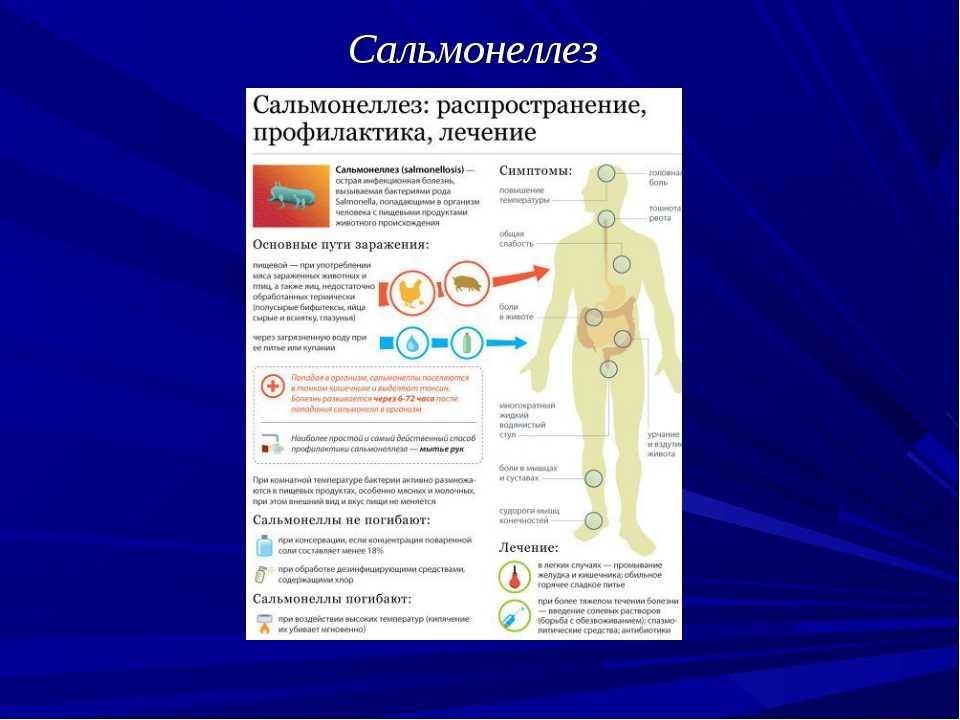 Сальмонелла (небрюшнотифозная)